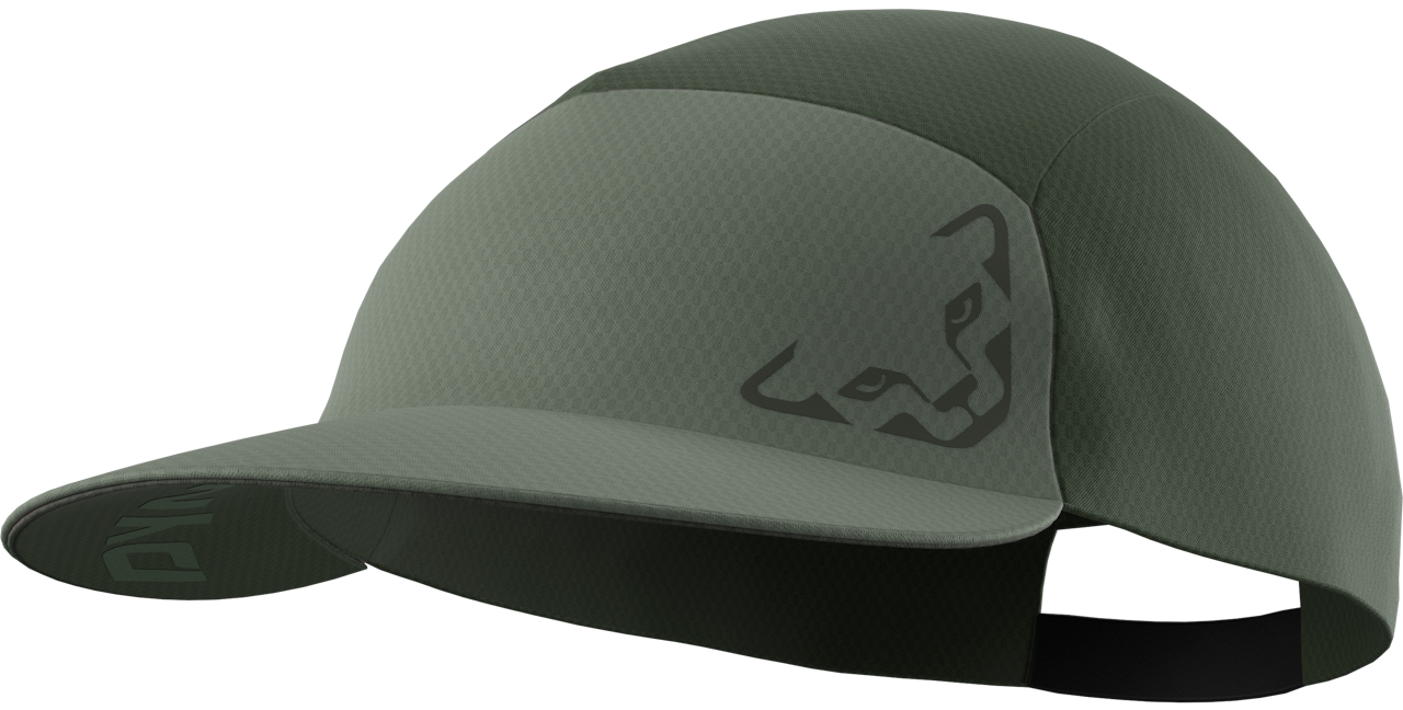 Dynafit Alpine Visor Cap sage